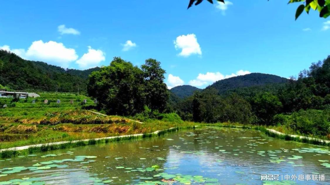 b站播放量下单平台：自媒体视频推广新选择分析_在线下单