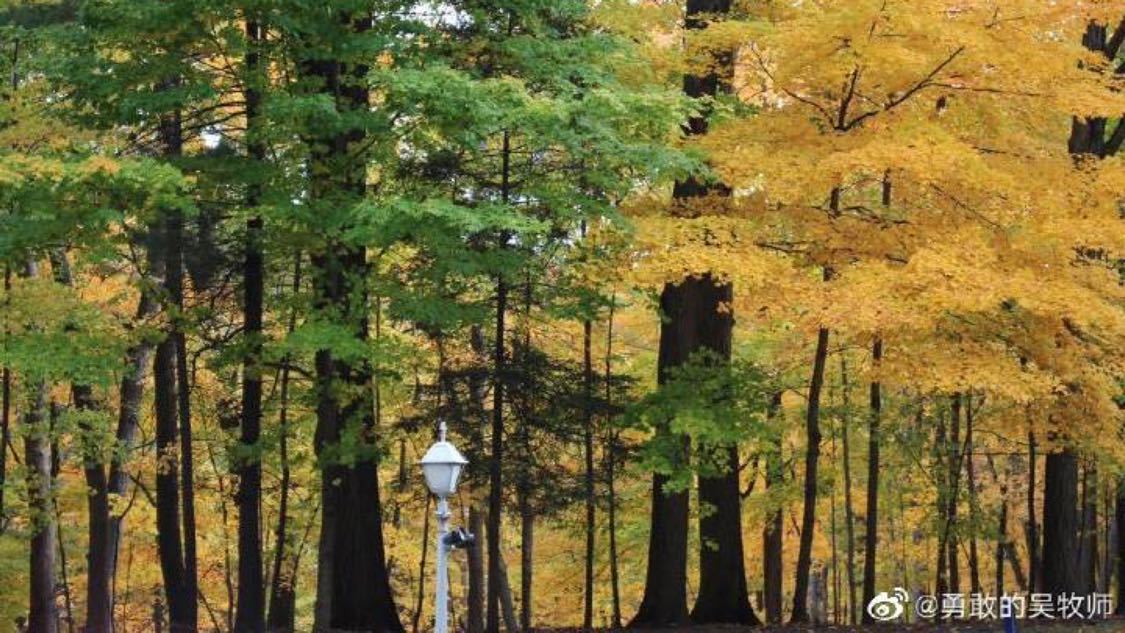 快手自助下单双击：刷单诈骗频发网购陷阱需警惕_业务网qq平台